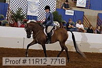 11r12_7716 proof