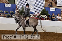 11r12_7717 proof