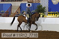 11r12_7718 proof