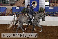 11r12_7719 proof