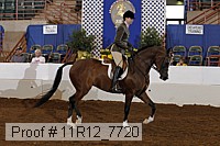 11r12_7720 proof