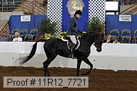11r12_7721 proof
