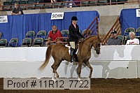 11r12_7722 proof