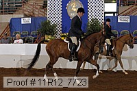 11r12_7723 proof