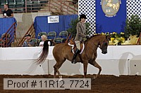 11r12_7724 proof