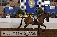 11r12_7725 proof