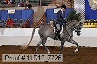 11r12_7726 proof