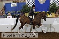 11r12_7727 proof