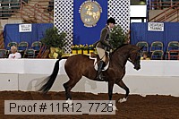11r12_7728 proof