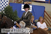 11r12_7729 proof