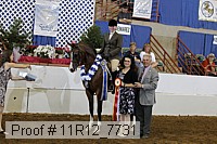 11r12_7731 proof