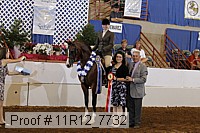 11r12_7732 proof