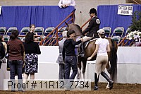 11r12_7734 proof