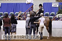 11r12_7735 proof