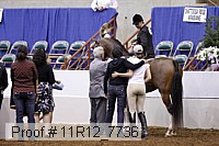 11r12_7736 proof