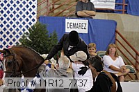 11r12_7737 proof