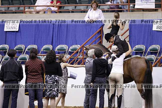 Proof 11r12_7738