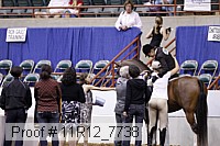 11r12_7738 proof