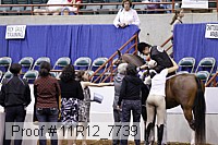 11r12_7739 proof
