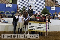 11r12_7742 proof