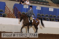11r12_7744 proof