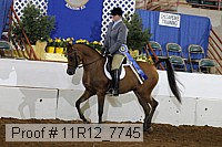 11r12_7745 proof