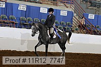 11r12_7747 proof
