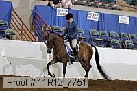 11r12_7751 proof