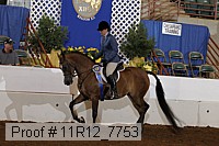 11r12_7753 proof