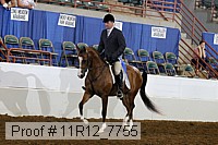 11r12_7755 proof