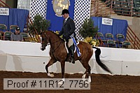11r12_7756 proof