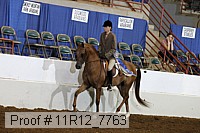 11r12_7763 proof