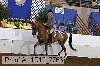 11r12_7766 proof
