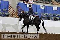 11r12_7767 proof