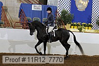 11r12_7770 proof