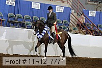 11r12_7771 proof