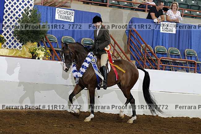 Proof 11r12_7772