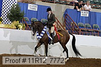 11r12_7772 proof