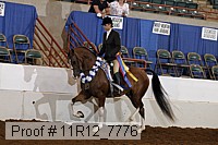 11r12_7776 proof