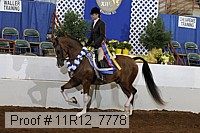 11r12_7778 proof