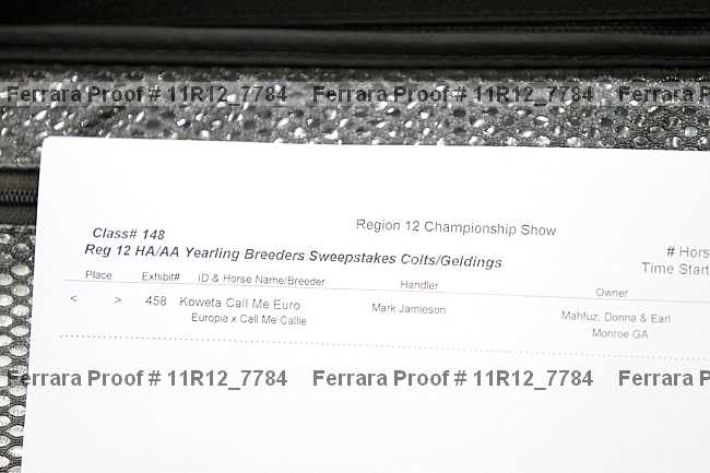 Proof 11r12_7784