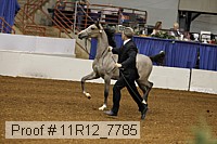 11r12_7785 proof