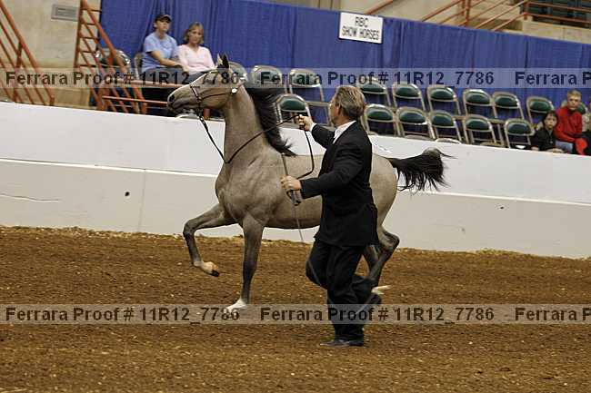 Proof 11r12_7786