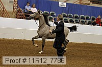 11r12_7786 proof