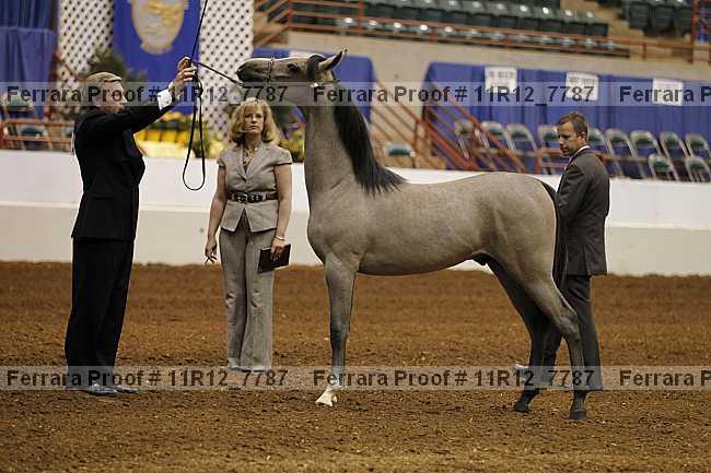 Proof 11r12_7787