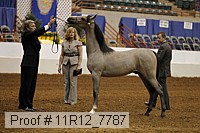 11r12_7787 proof