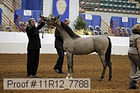 11r12_7788 proof
