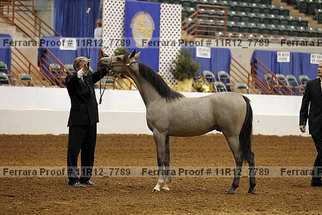 Proof 11r12_7789