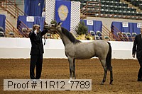 11r12_7789 proof