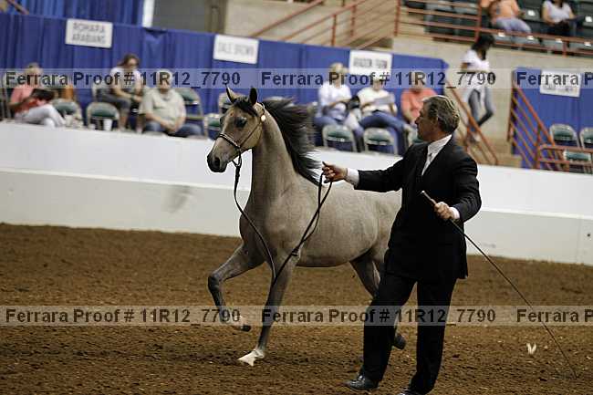 Proof 11r12_7790